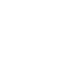 NWO Φ Token